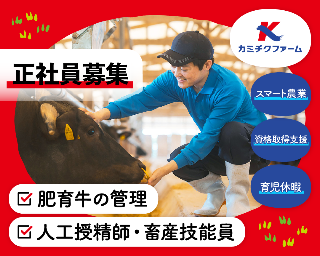 肥育牛の管理、人工授精師・畜産技能員(正社員)南さつま市