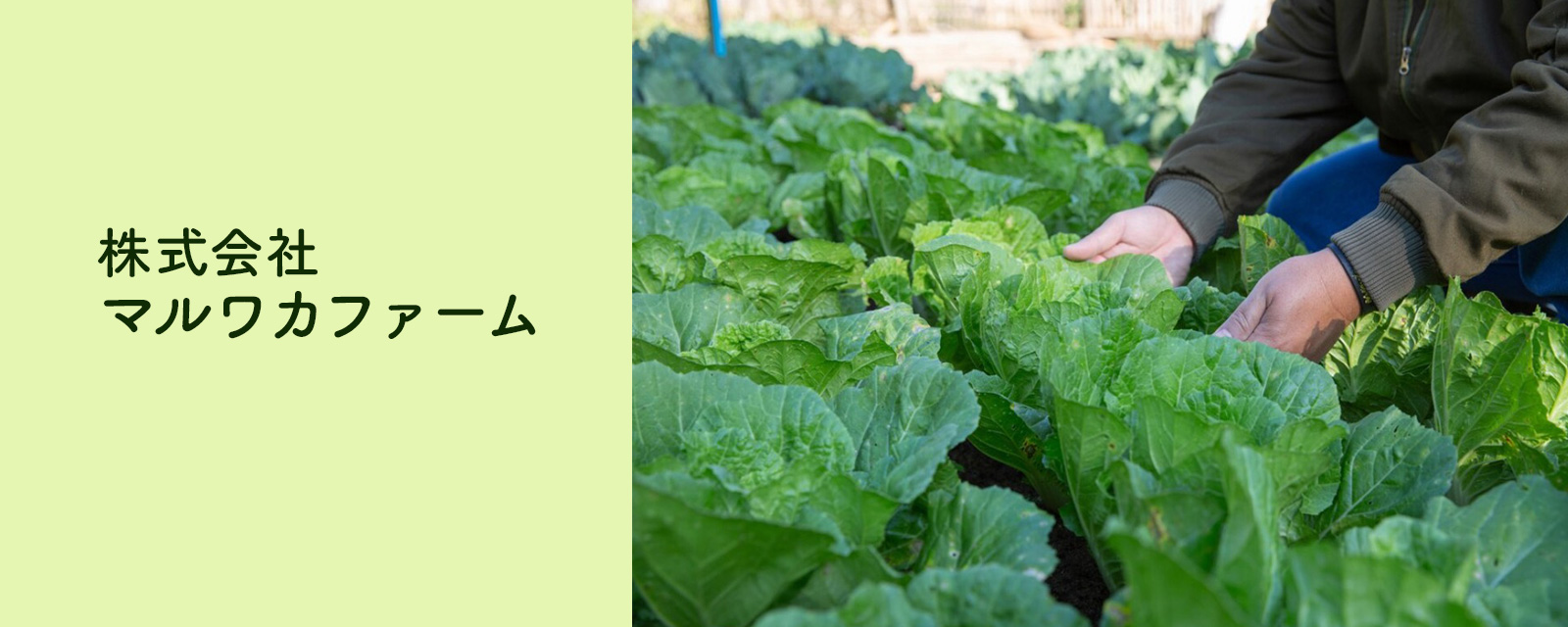 株式会社マルカワファーム 曽於市